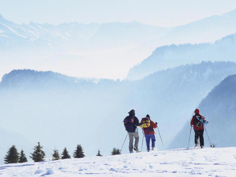 Raquettes l'hiver